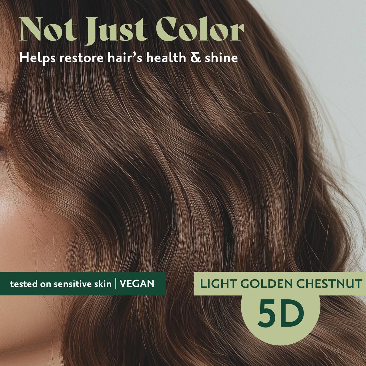 5D Light Golden Chestnut