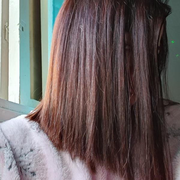 5D Light Golden Chestnut