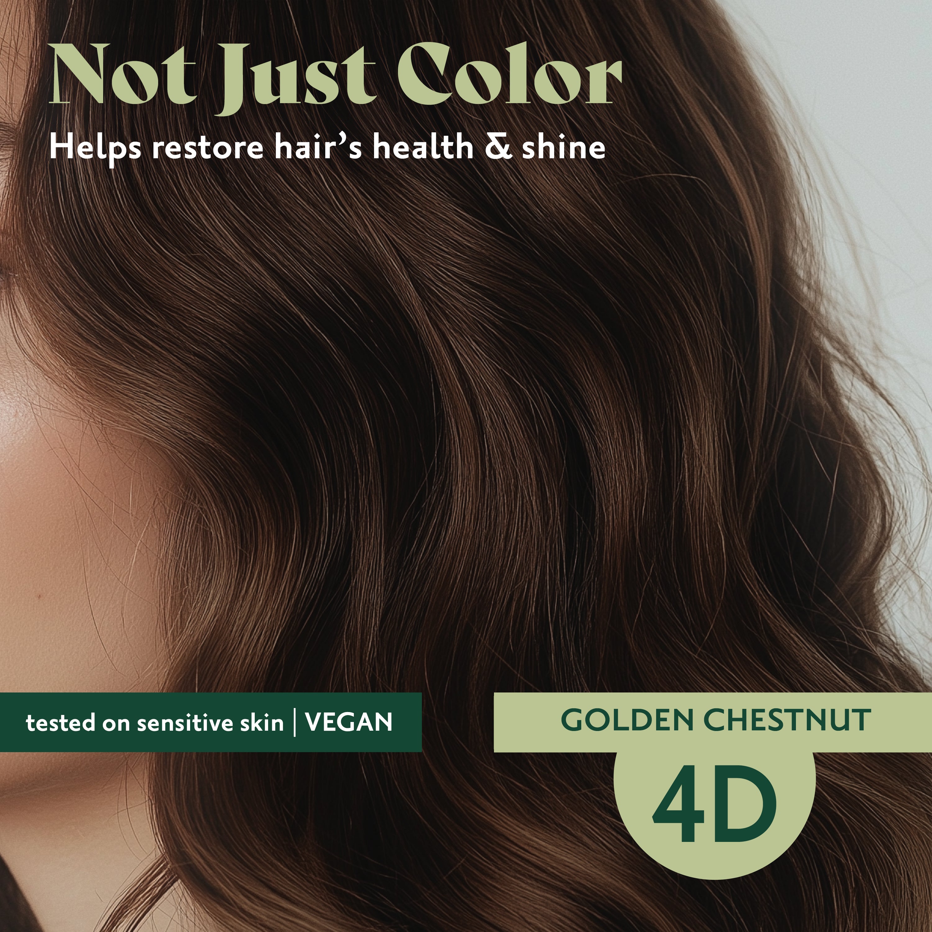 4D Golden Chestnut