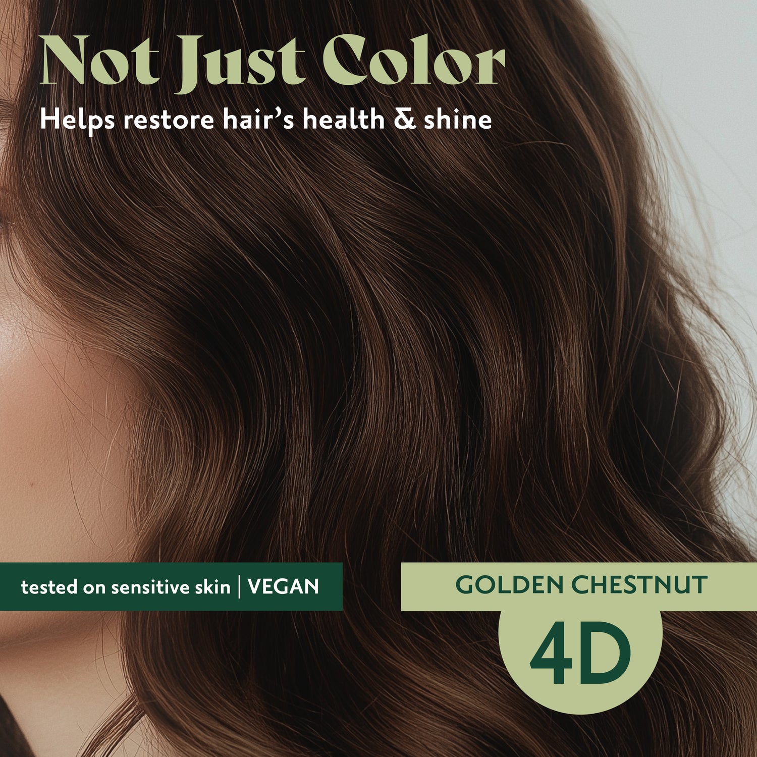 4D Golden Chestnut